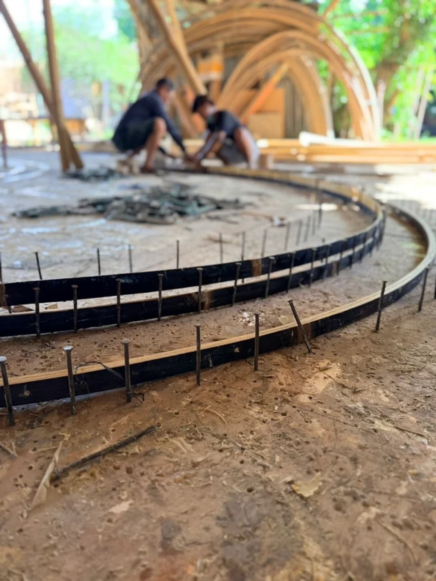 A large laminated bamboo ring being bent and pinned to steel stakes