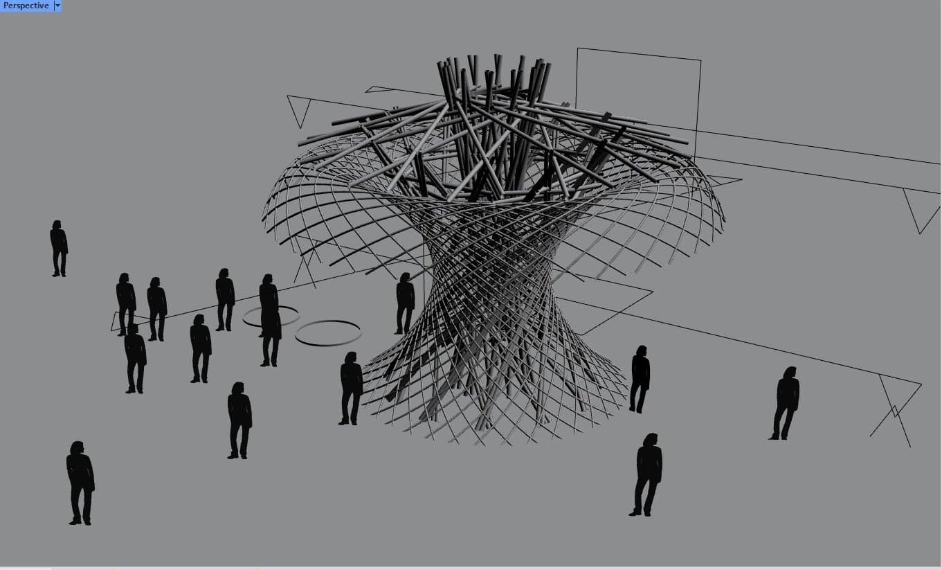 Structural wireframe of a bamboo tree structure in Rhino