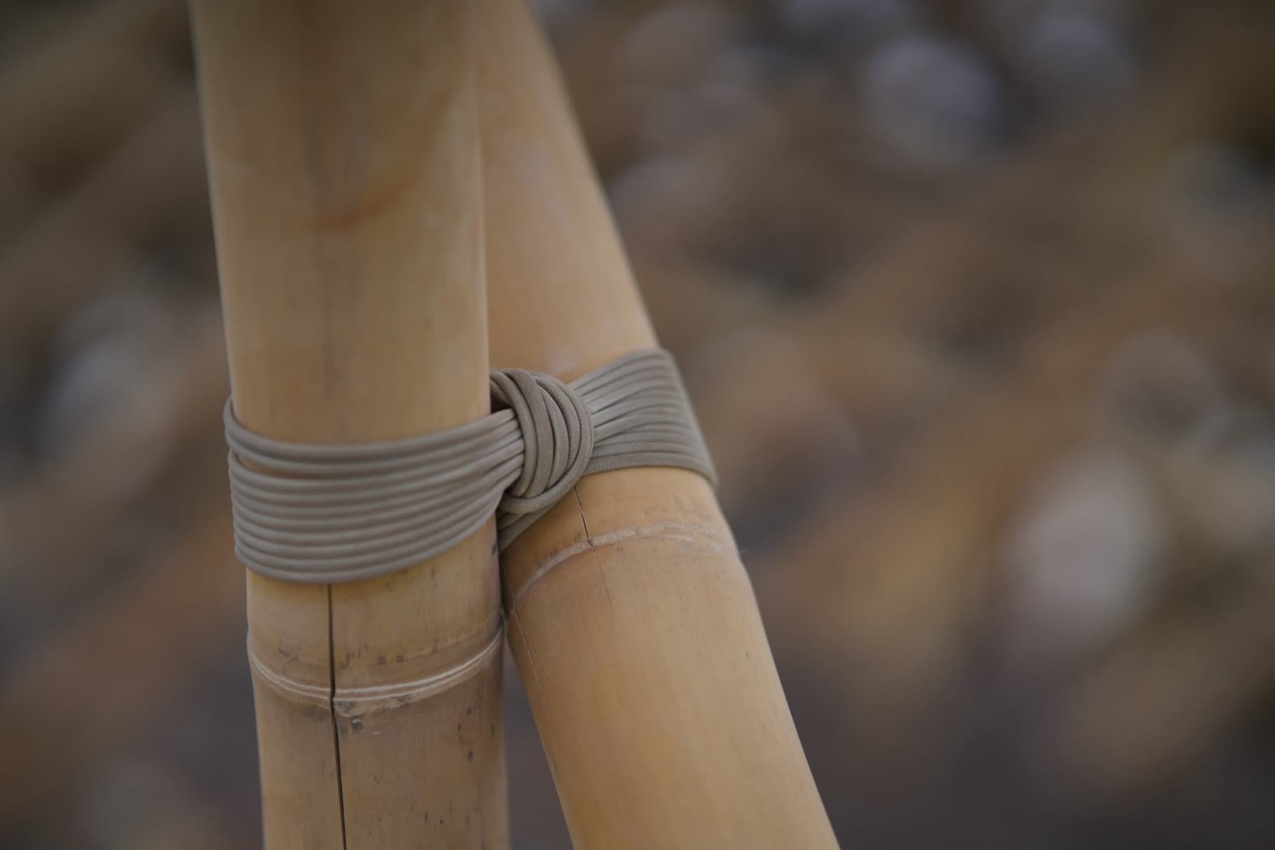 Close view of a cord lashing binding bamboo culms at a joint on the Resonance Tree