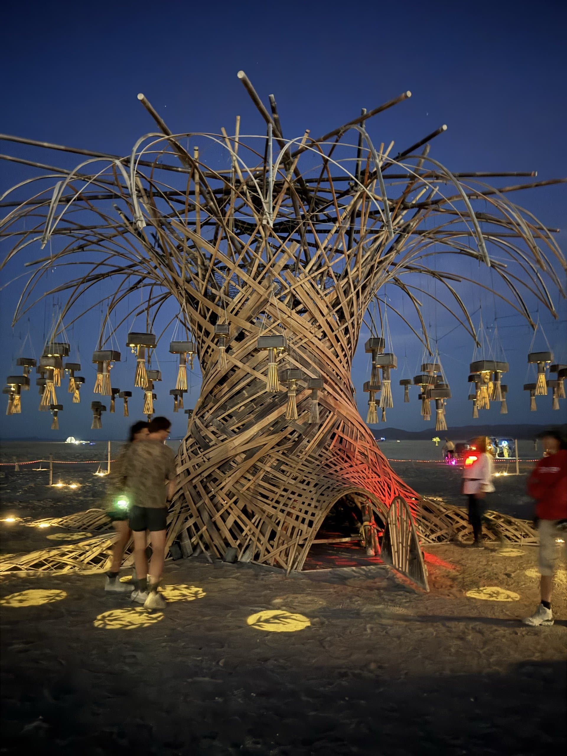 First evening open: the Resonance Tree lit, its leaves projected onto the playa, the first visitors at its roots