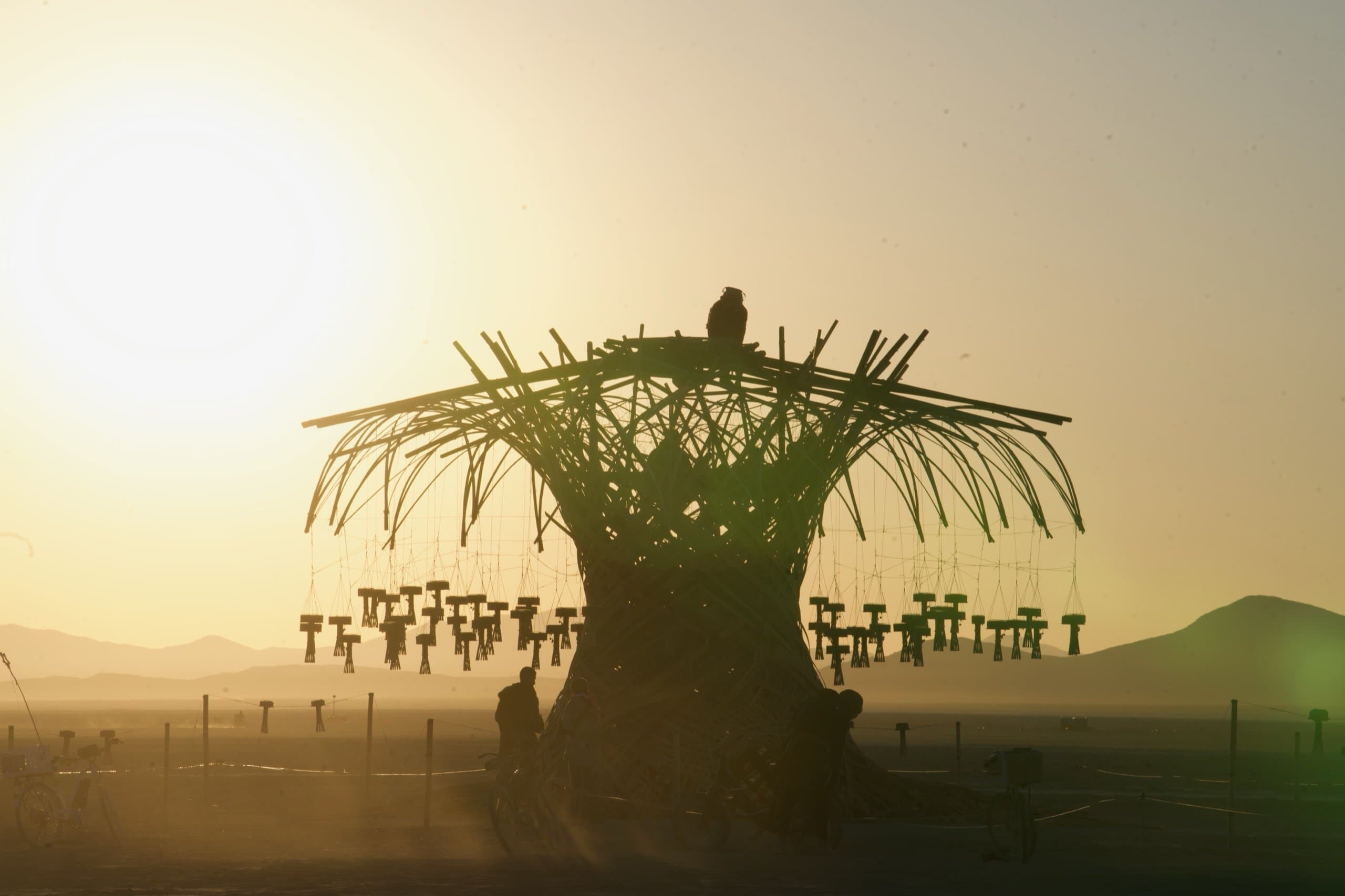 The Resonance Tree in full silhouette against the sunrise, one climber standing on its crown, the playa quiet below
