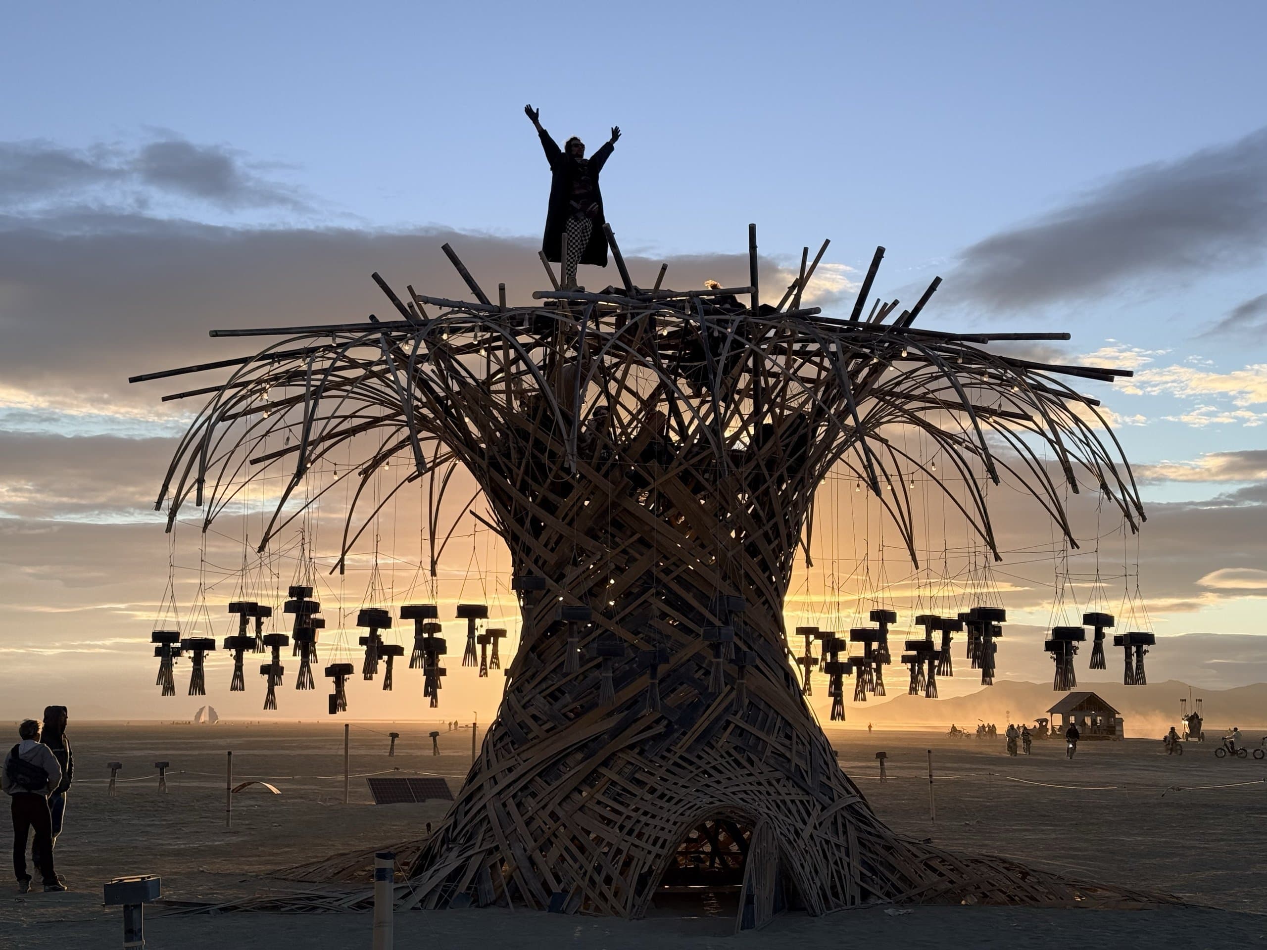 A visitor with both arms raised to the sunrise from the top of the Resonance Tree, the crown silhouetted below