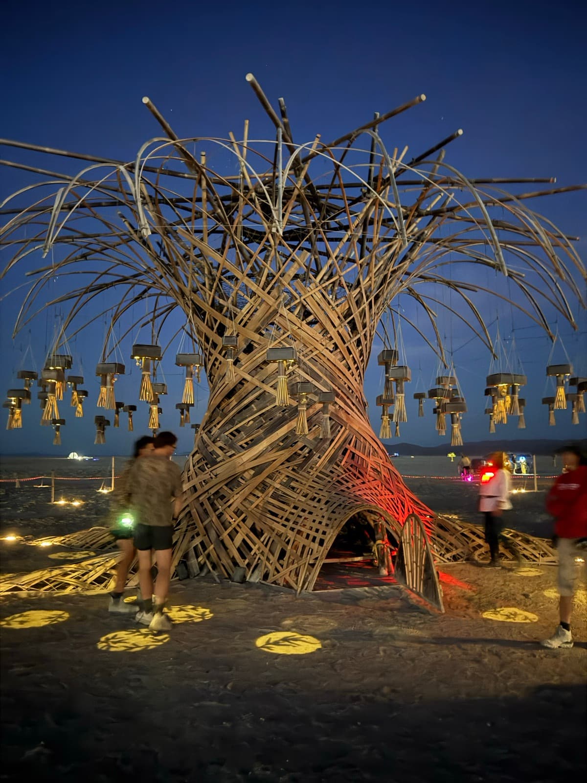 The lantern crown of the Resonance Tree glowing against the night sky