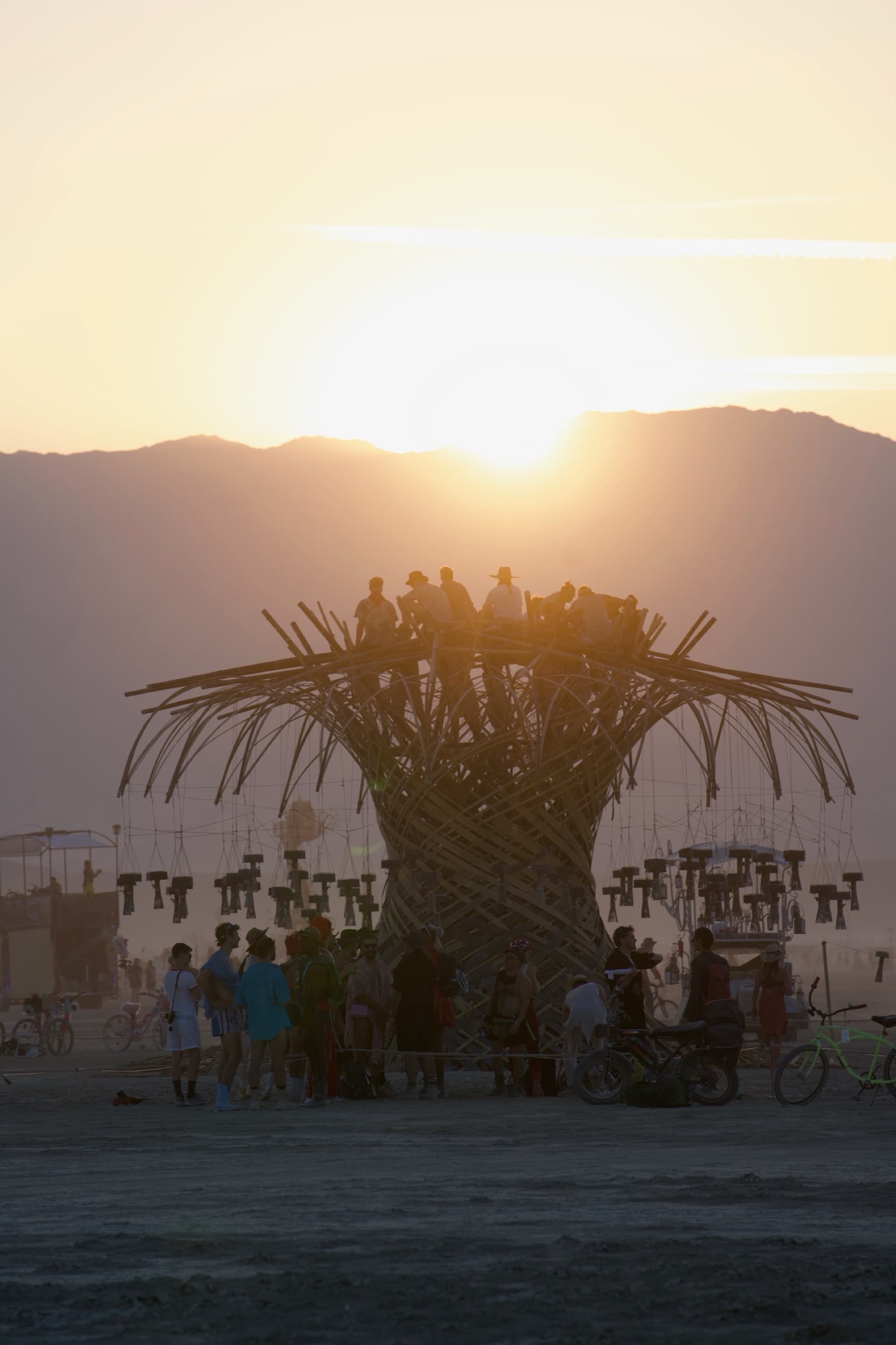 The Resonance Tree full to the crown as the sun sets behind desert mountains