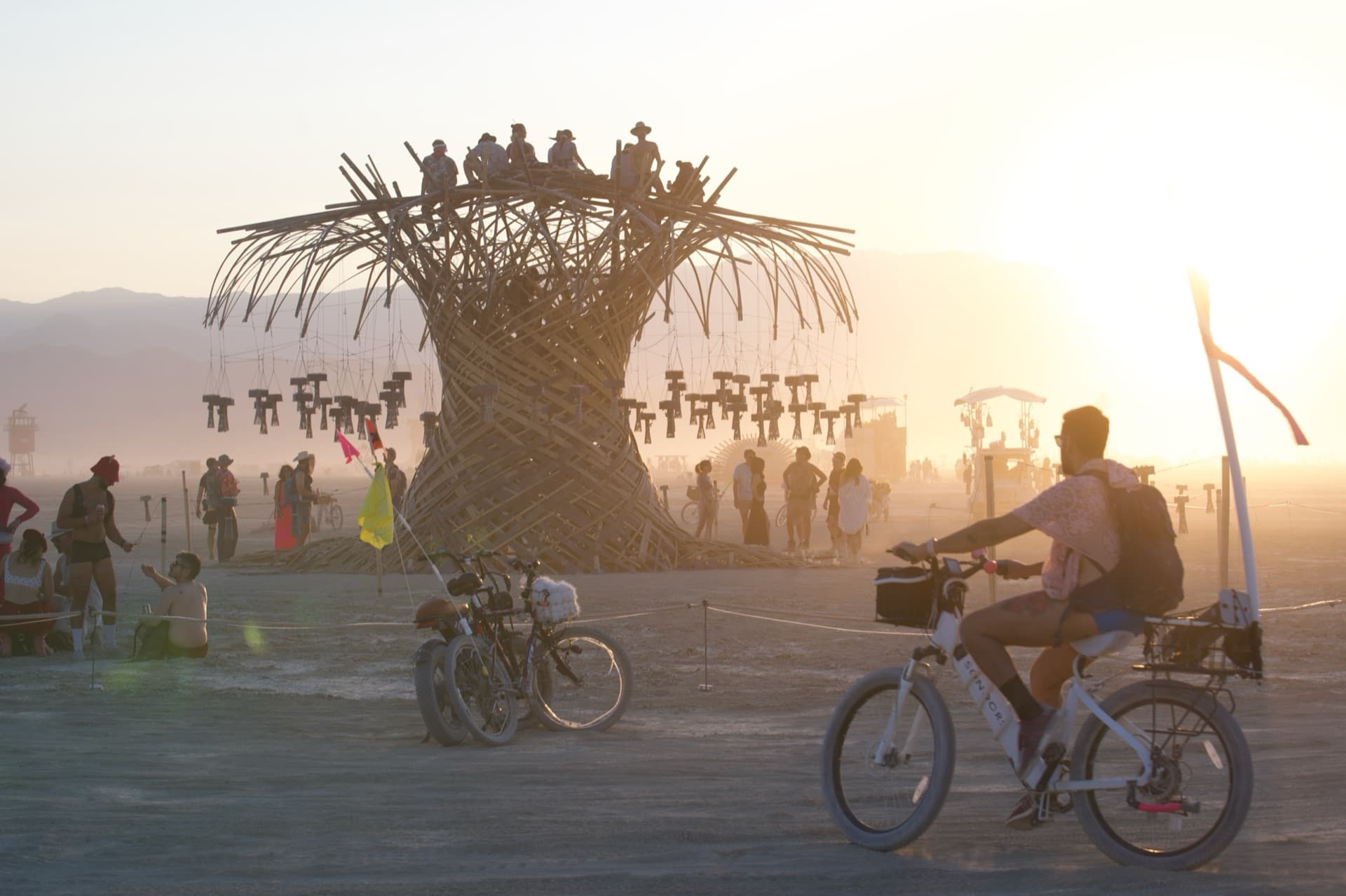 Riding past the Resonance Tree at sunset, its crown full of visitors — film poster frame