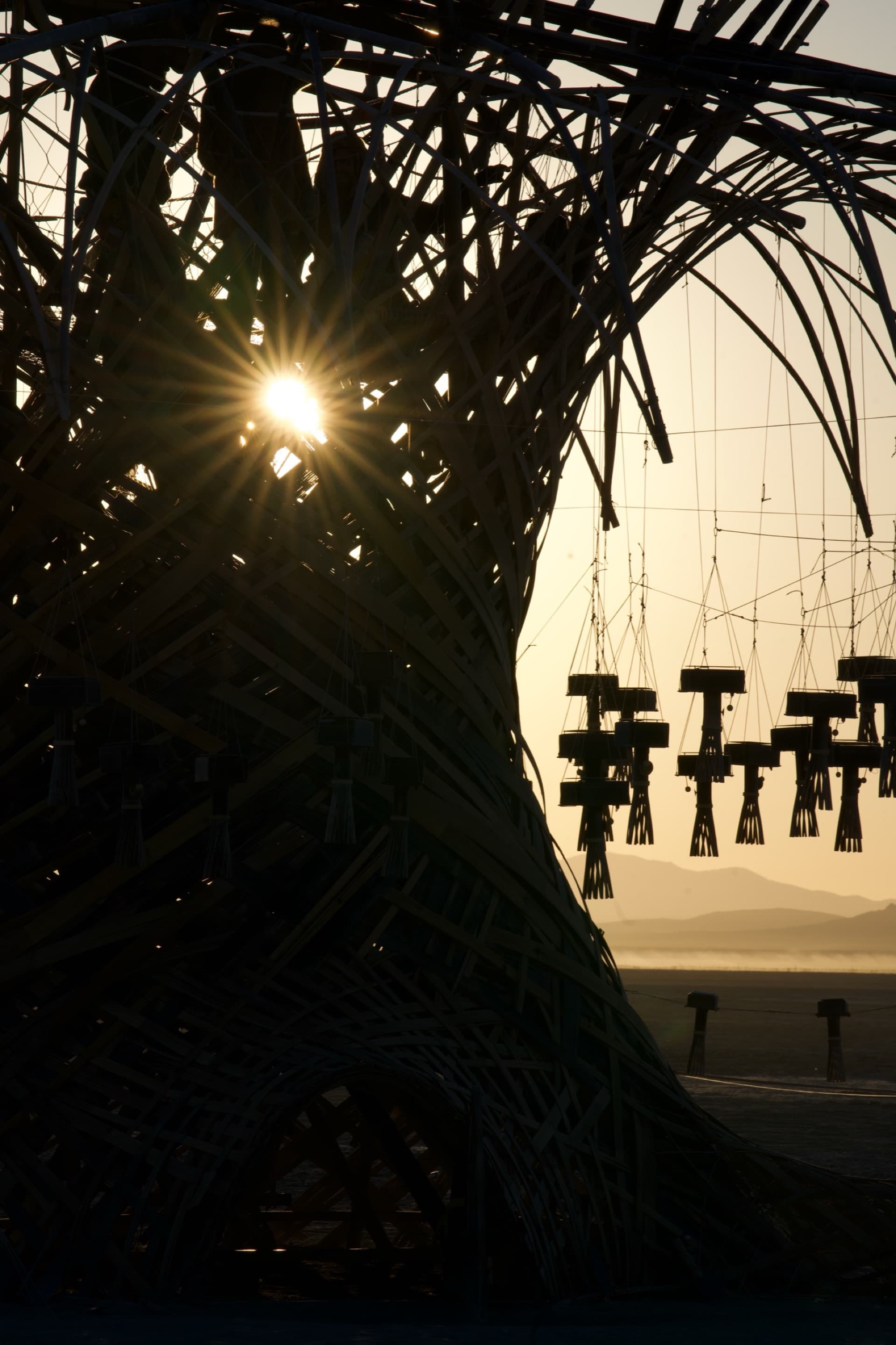 The sun bursting through the woven bamboo trunk of the Resonance Tree