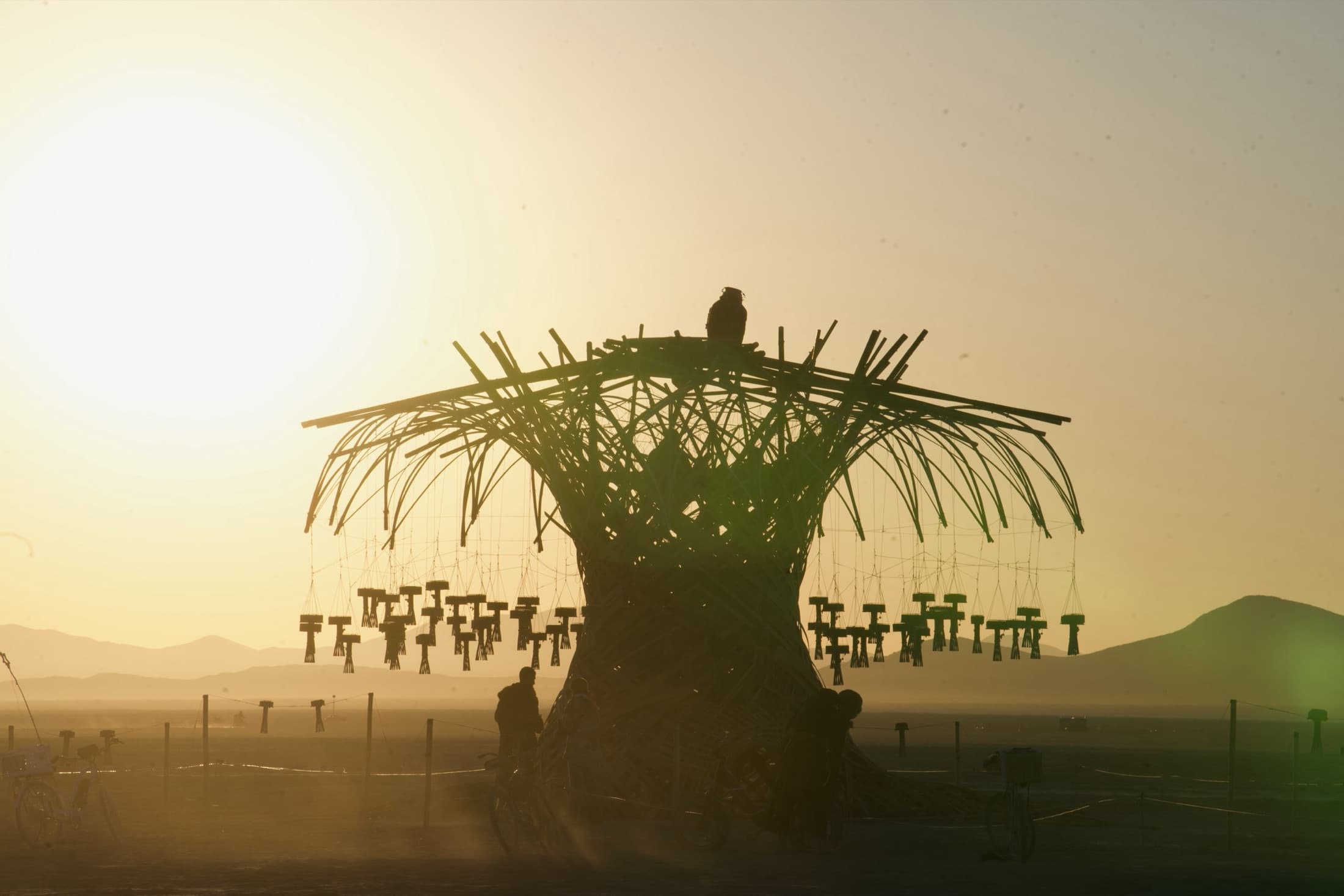 The Resonance Tree in silhouette on the open playa, the sun low behind its crown