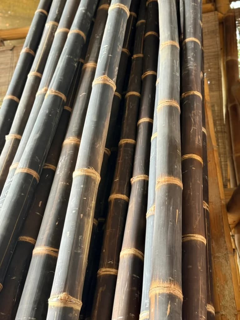 Black structural bamboo culms stacked in the workshop